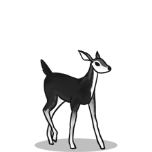 便宜的注册网站求推荐的{固定网站名称23}