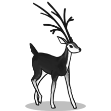 ddos攻击ip软件下载